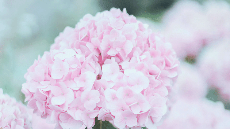 1588644856899046.png 微信圖片_20200505101009.png