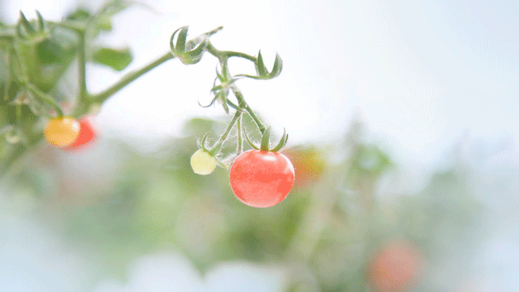 1588644951111391.png 微信圖片_20200505101040.png